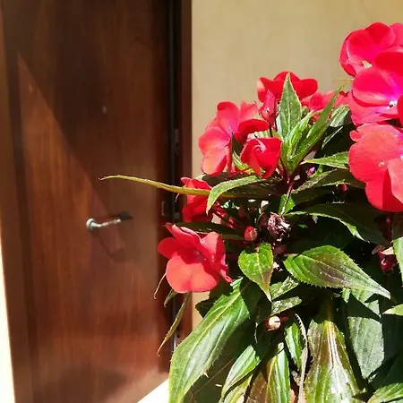 Cala Dei Tufi Apartment Agrigento